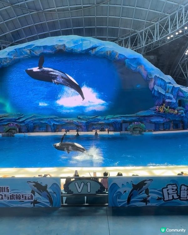 復活節🤩長隆指定套票買2送1！住宿送自助早餐、 限量升級房型