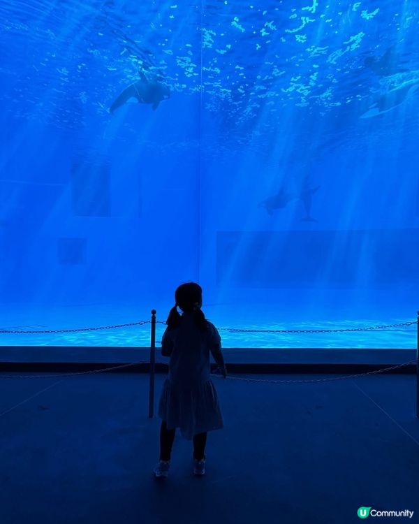 復活節🤩長隆指定套票買2送1！住宿送自助早餐、 限量升級房型