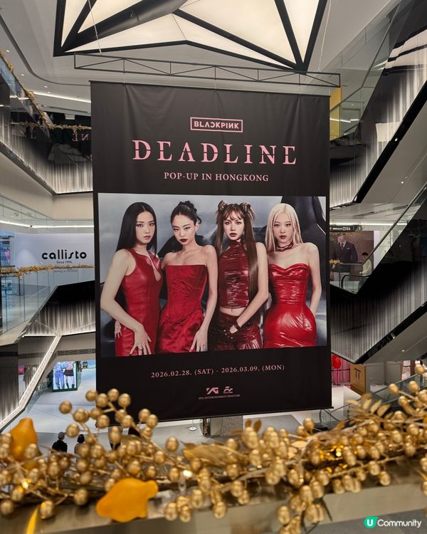 BLACKPINK演唱會Pop up Store