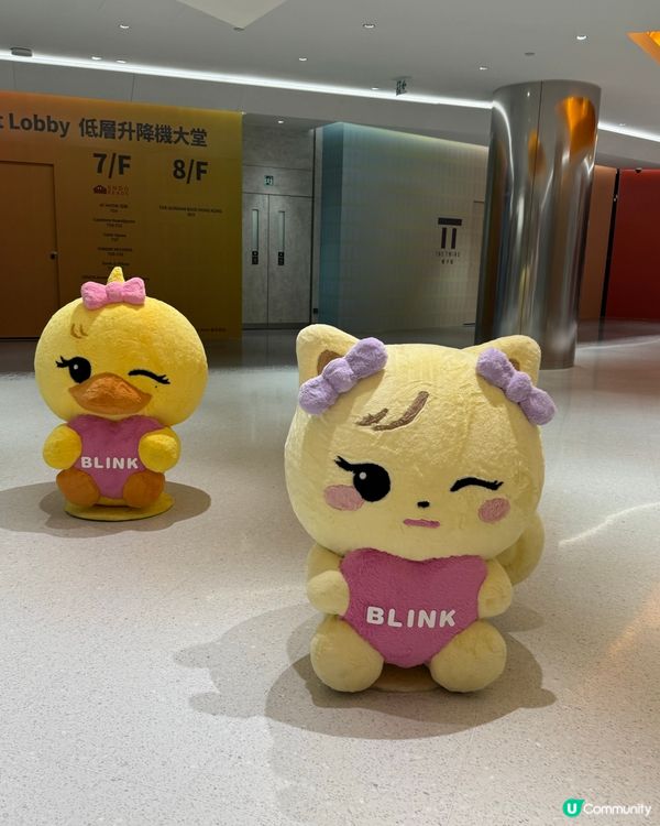 BLACKPINK演唱會Pop up Store