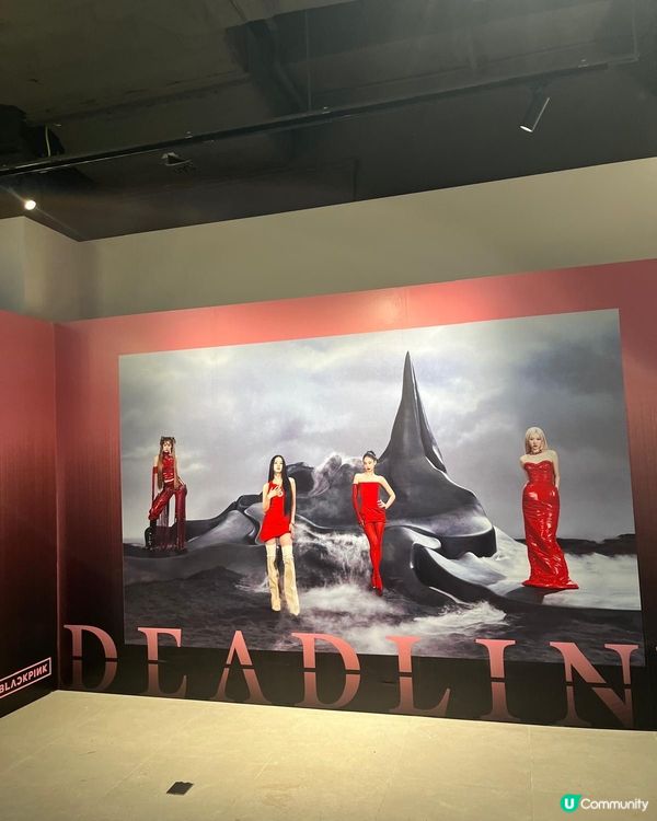 BLACKPINK演唱會Pop up Store