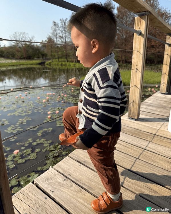 濕地公園蓮花🪷