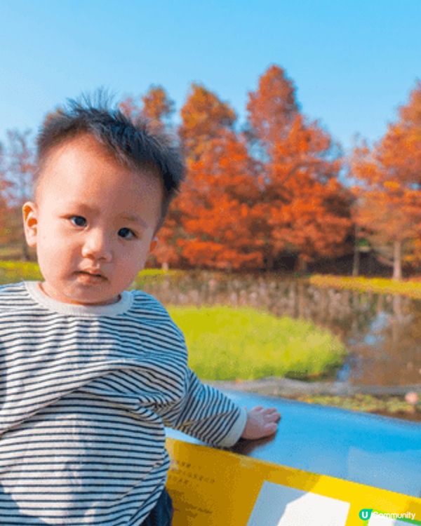 濕地公園蓮花🪷