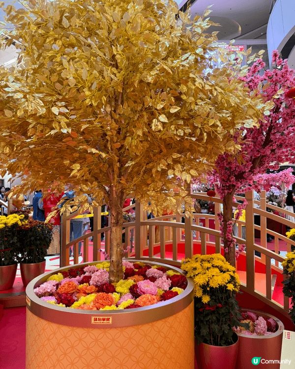 新年去Apm就岩晒，有米奇又有招財黃金屋夠晒喜氣，仲有好多打...