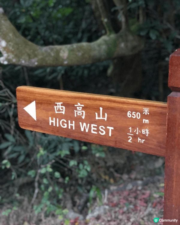 西高山山頂觀景點（High West Summit）