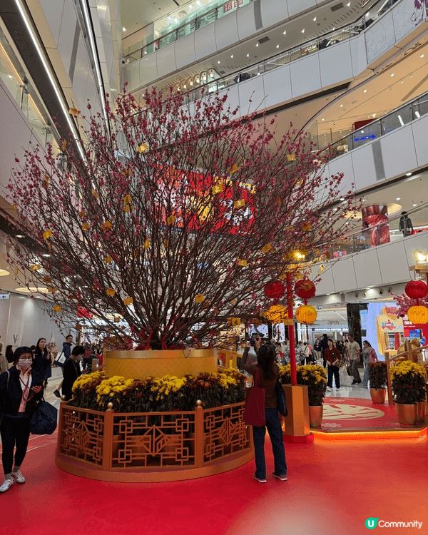 APM馬年佈置好靚，幾隻黃金唐老鴨表演醒獅確係好特別