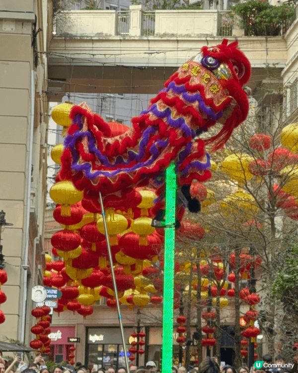 打卡熱點灣仔喜帖街（利東街）新年氣氛爆棚，舞獅表演熱鬧非凡！...