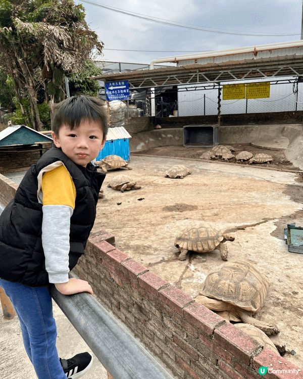 錦田鄉村俱樂部本地農莊，假日好玩好食好去處。可以邊感受大自然...