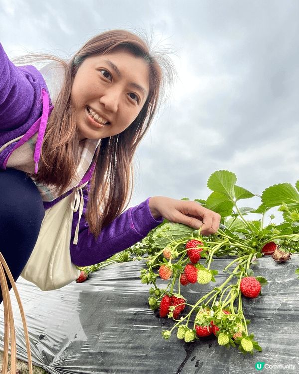 錦田鄉村俱樂部本地農莊，假日好玩好食好去處。可以邊感受大自然...
