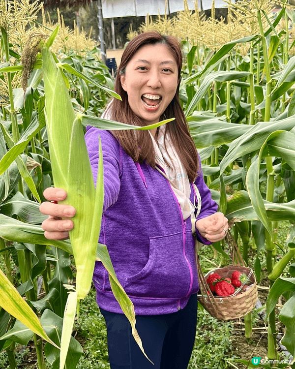 錦田鄉村俱樂部本地農莊，假日好玩好食好去處。可以邊感受大自然...