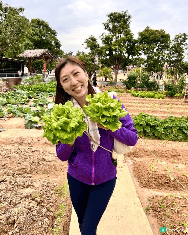 錦田鄉村俱樂部本地農莊，假日好玩好食好去處。可以邊感受大自然...