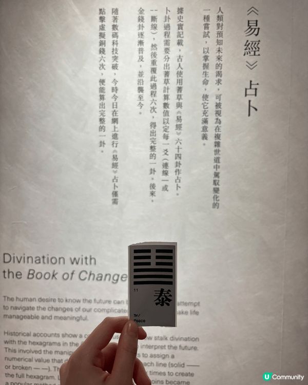 前排去咗大館嘅易經展覽，新一年決定就去占一占運程！