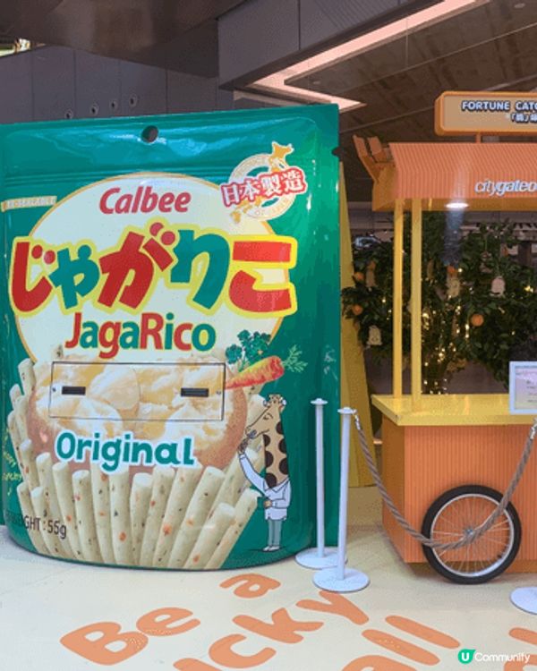 週末我亦去了東涌的東薈城內打卡，有一個大型品牌的裝置及打卡場...