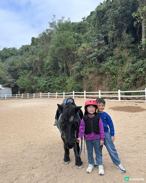 星期日去了大埔鳳園路蝶豆花園，最特別之處可以給小朋友體驗騎馬...