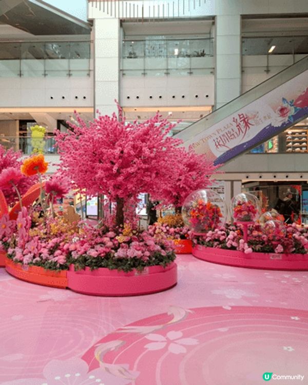 沙田新城市廣場2026年賀年以「花開結緣・風生水起」為主題，...