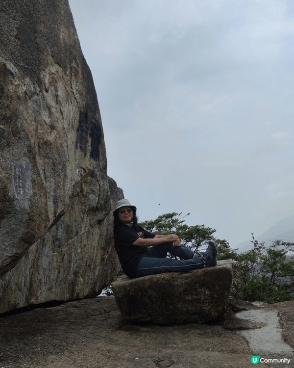 1. 好有趣，一個樹幹出七條之小樹幹