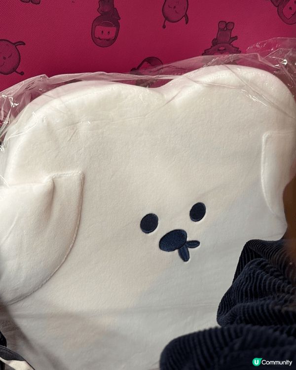 韓國人氣文創Butter,嚟咗大圍圍方，見到啲公仔咁得意，尤...