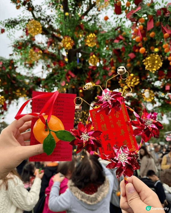 過年梗係要去林村許願樹襯吓熱鬧，另外仲有好多打卡飲飲食食攤檔...