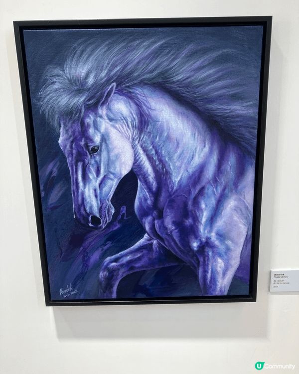 中環蘇富比以及大館的藝術作品很精彩，有攝影師拍攝世界各地的景...