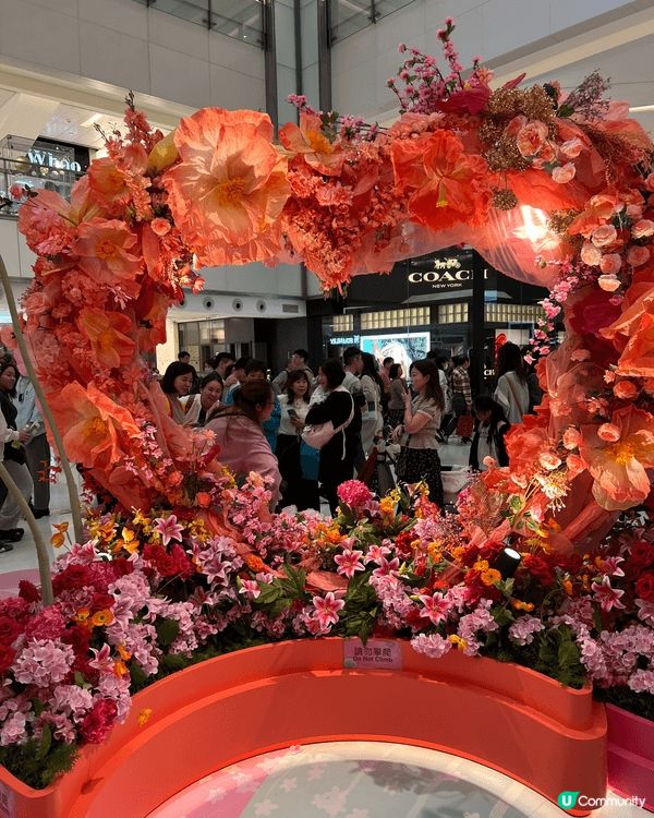今年農曆新年去咗幾個商場逛逛，覺得新城市廣場佈置得很美，而花...