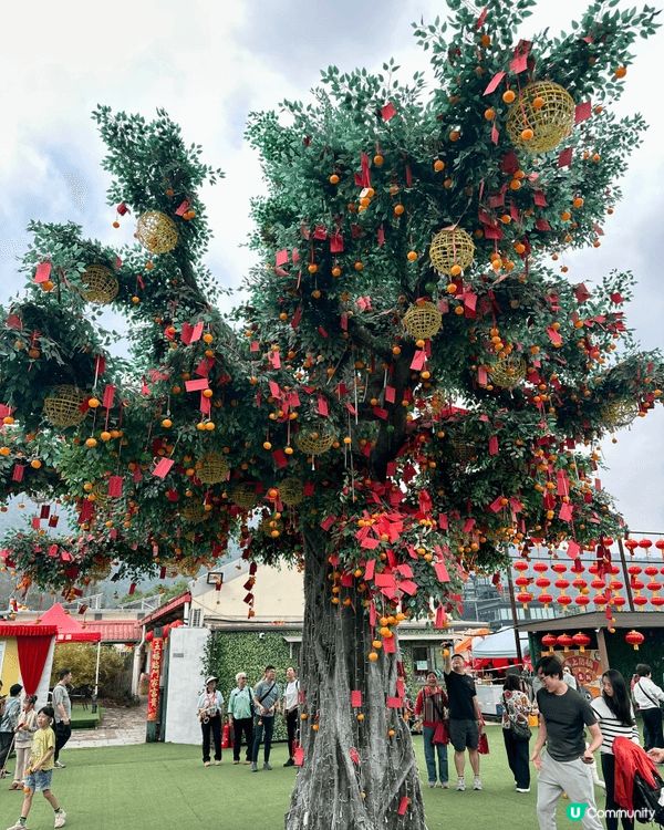 新年其中一個要去行個大運嘅地方，就係大埔林村「許願樹」，除咗...