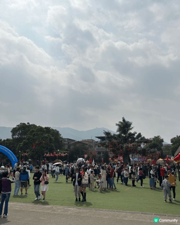 新年其中一個要去行個大運嘅地方，就係大埔林村「許願樹」，除咗...