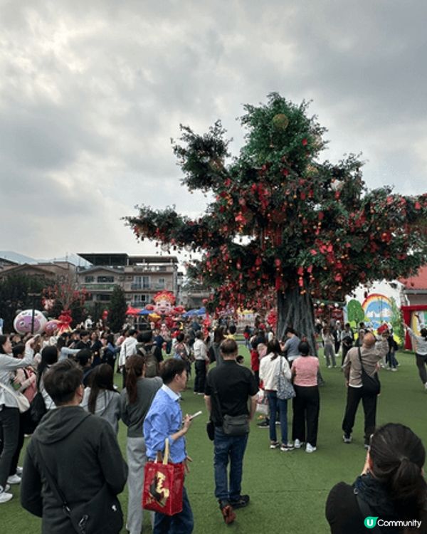 新年其中一個要去行個大運嘅地方，就係大埔林村「許願樹」，除咗...