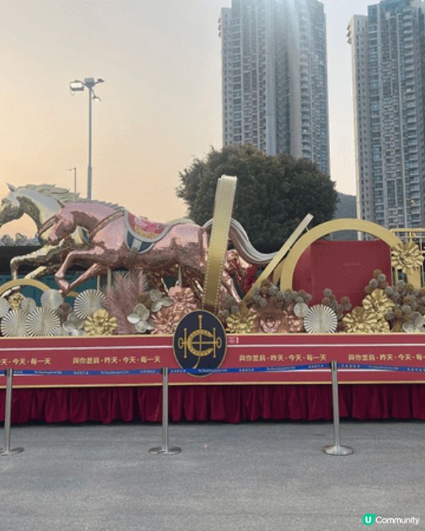 初三去馬場行個好運一向係我同家人新年傳統活動，馬年就更加要去...