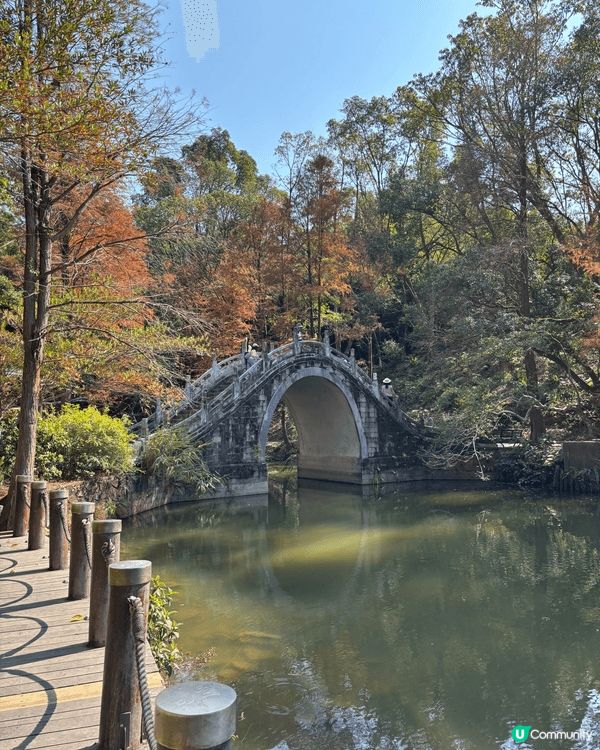 同家人假期去深圳仙湖植物園真係好正呀 🌿🍁！一路行入去，滿眼...