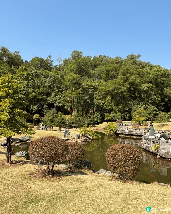 同家人假期去深圳仙湖植物園真係好正呀 🌿🍁！一路行入去，滿眼...