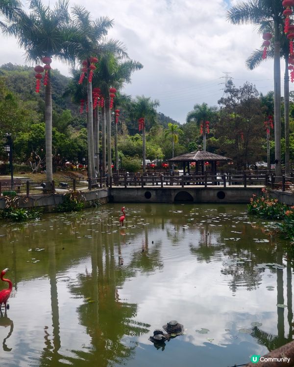 極差一定冇下一次！ 大棠有機生態園 ，希望大家不要中伏 