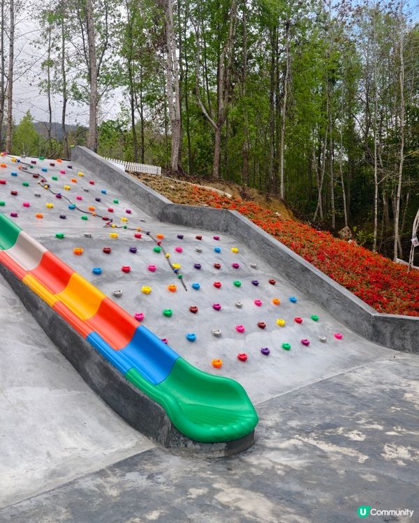 極差一定冇下一次！ 大棠有機生態園 ，希望大家不要中伏 