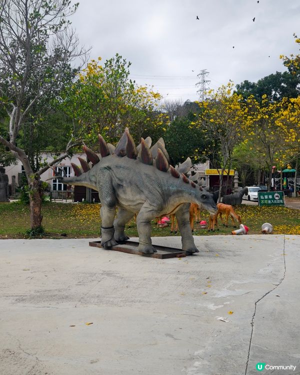 極差一定冇下一次！ 大棠有機生態園 ，希望大家不要中伏 