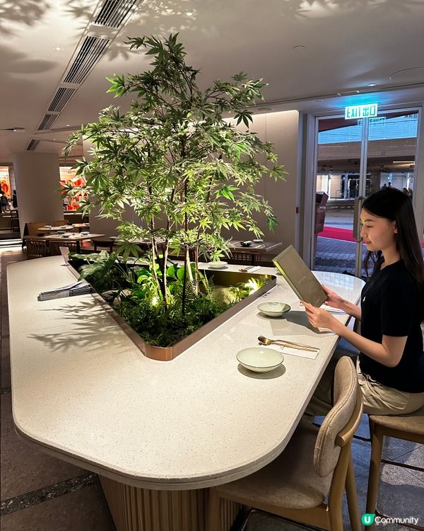 半島對面又有一家南法浪漫餐廳