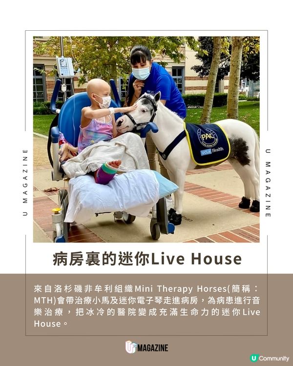 加州迷你馬的「鋼琴魔法」！用溫柔與旋律治癒病患者心靈 ！                                     