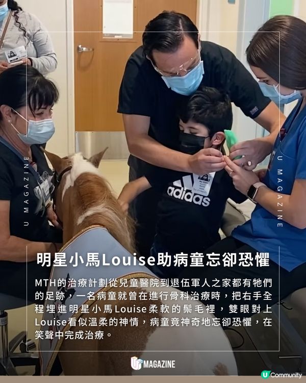 加州迷你馬的「鋼琴魔法」！用溫柔與旋律治癒病患者心靈 ！                                     