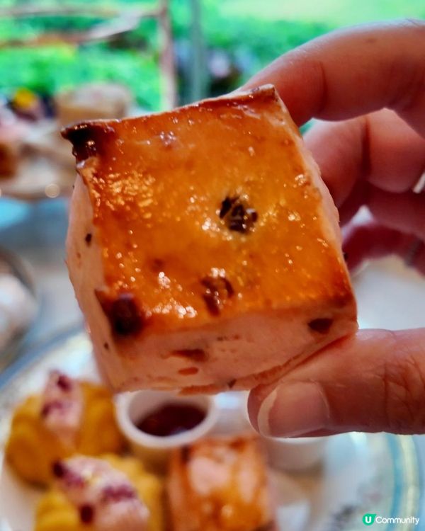 💜午後嘅紫色浪漫 🌿 歷山餐廳情迷「紫」刻下午茶