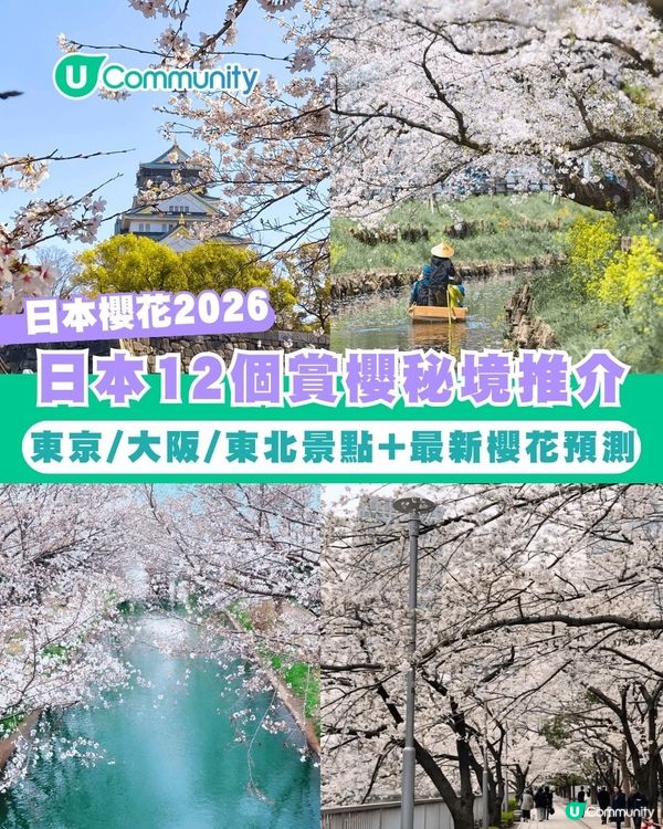 【日本櫻花2026】日本12個賞櫻秘境推介🌸東京/大阪/京都賞櫻景點+最新櫻花預測