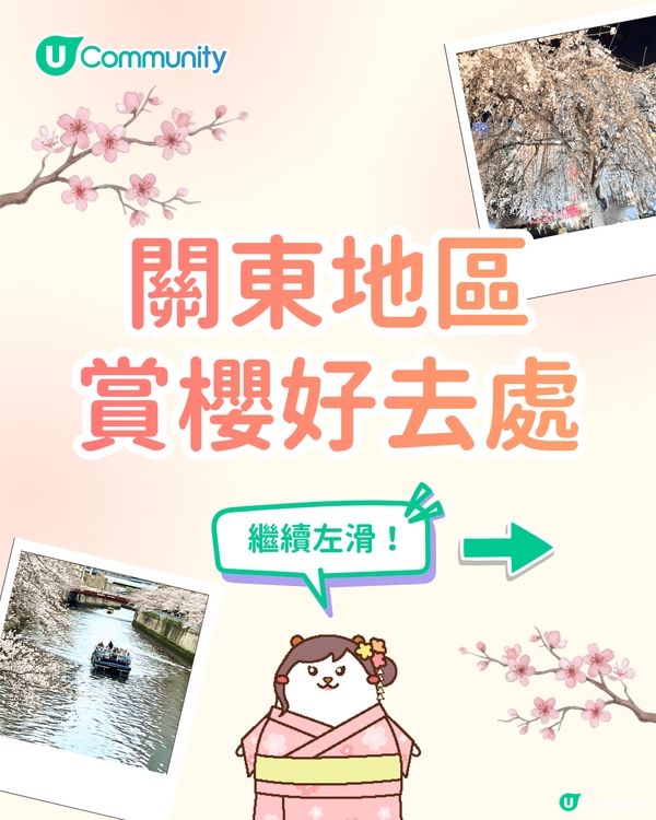 【日本櫻花2026】日本12個賞櫻秘境推介🌸東京/大阪/京都賞櫻景點+最新櫻花預測