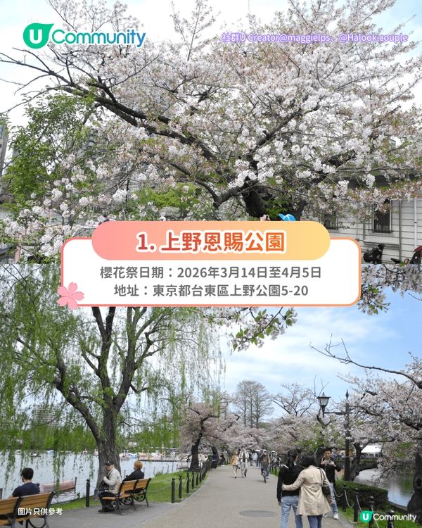 【日本櫻花2026】日本12個賞櫻秘境推介🌸東京/大阪/京都賞櫻景點+最新櫻花預測