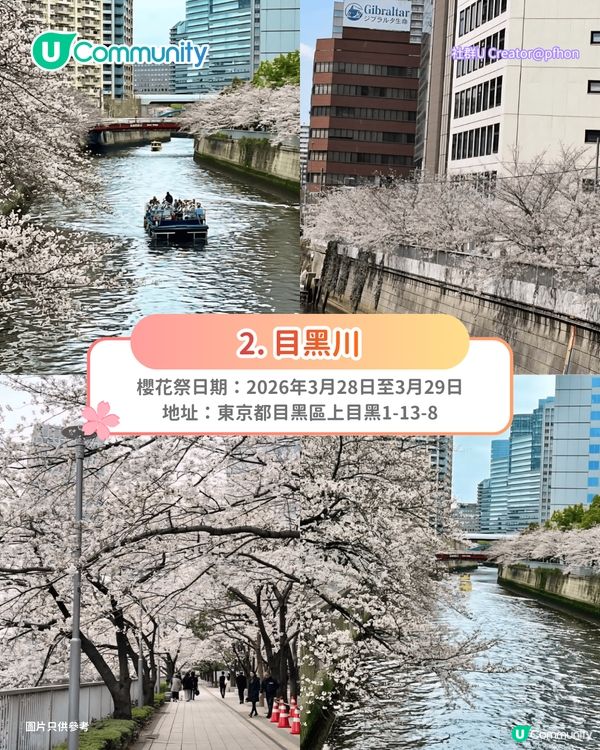 【日本櫻花2026】日本12個賞櫻秘境推介🌸東京/大阪/京都賞櫻景點+最新櫻花預測