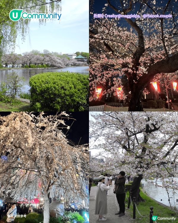 【日本櫻花2026】日本12個賞櫻秘境推介🌸東京/大阪/京都賞櫻景點+最新櫻花預測