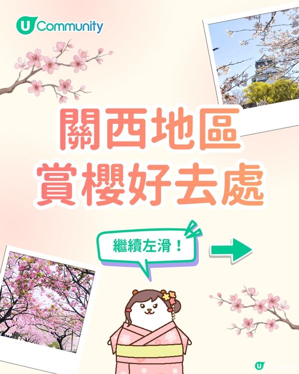 【日本櫻花2026】日本12個賞櫻秘境推介🌸東京/大阪/京都賞櫻景點+最新櫻花預測