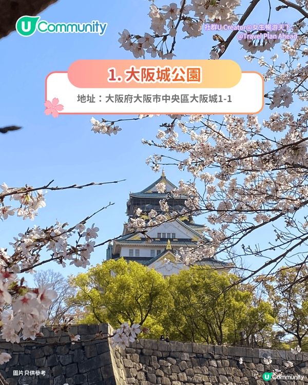 【日本櫻花2026】日本12個賞櫻秘境推介🌸東京/大阪/京都賞櫻景點+最新櫻花預測