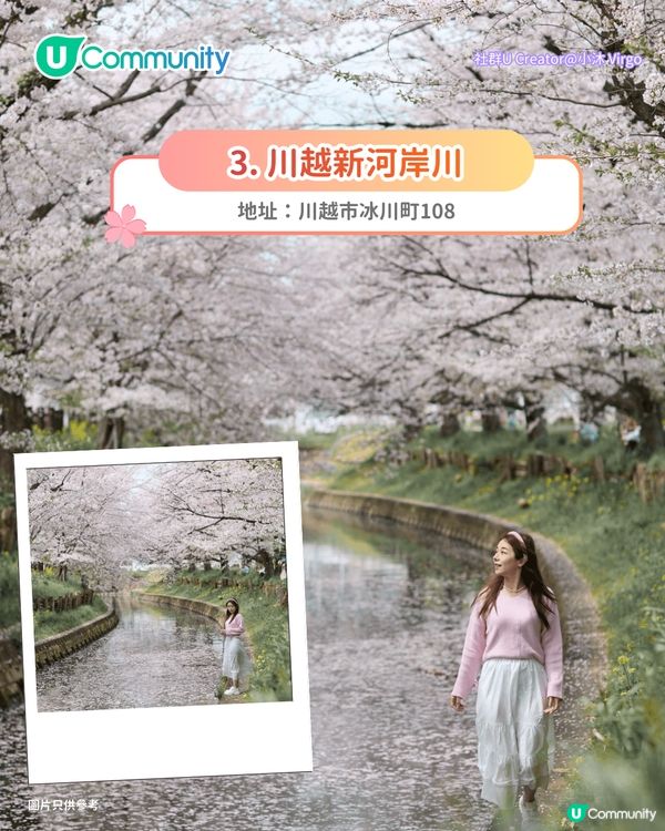 【日本櫻花2026】日本12個賞櫻秘境推介🌸東京/大阪/京都賞櫻景點+最新櫻花預測