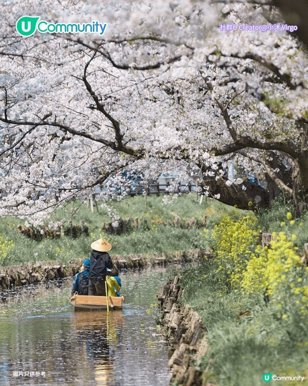【日本櫻花2026】日本12個賞櫻秘境推介🌸東京/大阪/京都賞櫻景點+最新櫻花預測