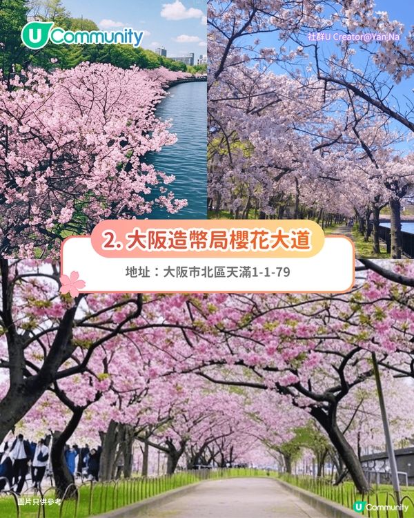 【日本櫻花2026】日本12個賞櫻秘境推介🌸東京/大阪/京都賞櫻景點+最新櫻花預測