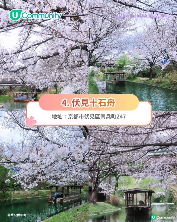 【日本櫻花2026】日本12個賞櫻秘境推介🌸東京/大阪/京都賞櫻景點+最新櫻花預測