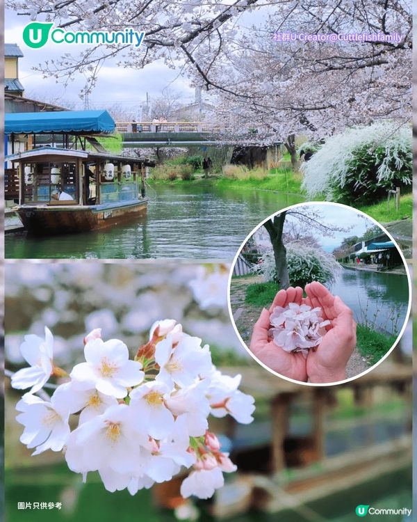 【日本櫻花2026】日本12個賞櫻秘境推介🌸東京/大阪/京都賞櫻景點+最新櫻花預測