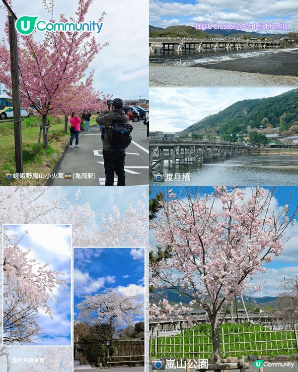 【日本櫻花2026】日本12個賞櫻秘境推介🌸東京/大阪/京都賞櫻景點+最新櫻花預測